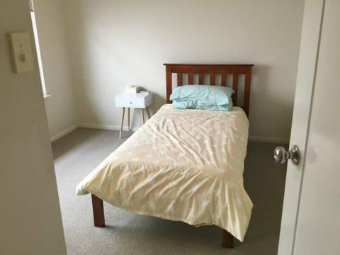 Room For Rent Palm Cove FNQ