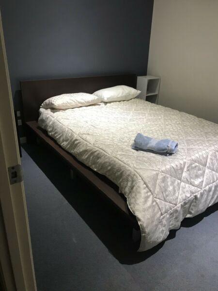 Room for rent in Kedron Sharehouse