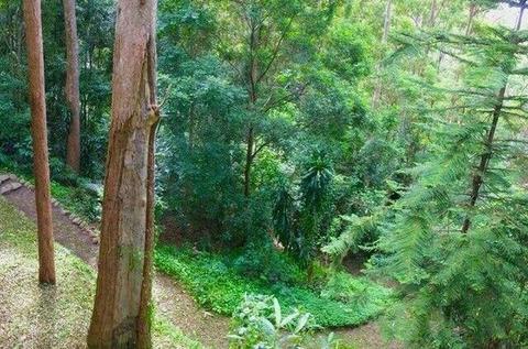 Room for rent in mountain retreat. 50 minutes to CBD. Short term okay