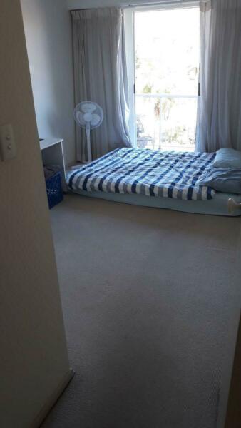 Room in 3 bedroom apartment in Mooloolaba over the christmas break!