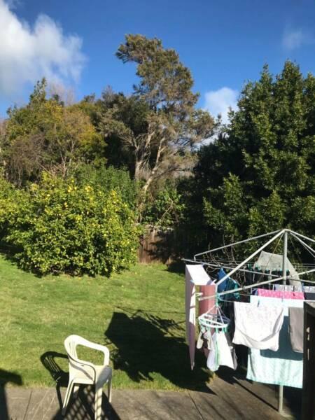 Short term room in South Hobart