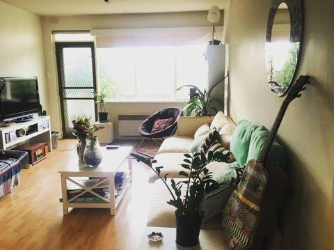Room for rent in St Kilda/Elwood