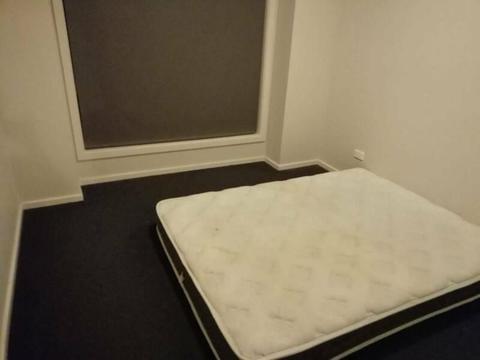 Room available for Rent in Craigieburn