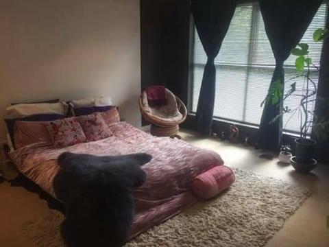 Master bed room for rent in Mentone