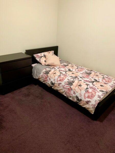 Single room for female in East Perth