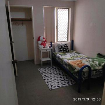 Room for rent near curtin university