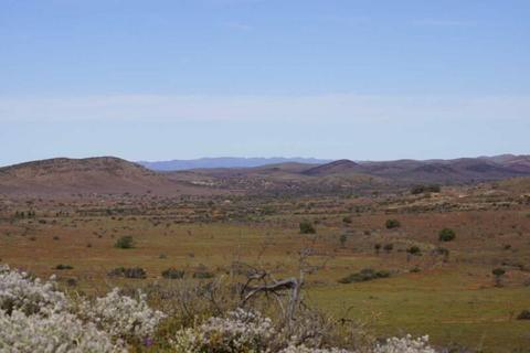 Rural Land on Two Titles - Blinman in the Beautiful Flinders Ranges