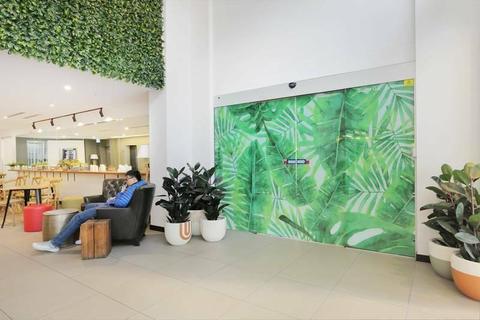 Welcome To The Jungle! Creative Space 125.5 Sqm!