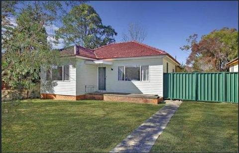 House available for rent, 79 Arab Road, Padstow