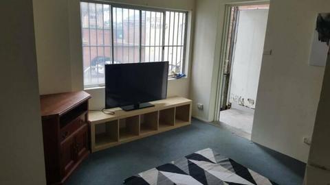 4 large bedroom fully furnished in bondi junction