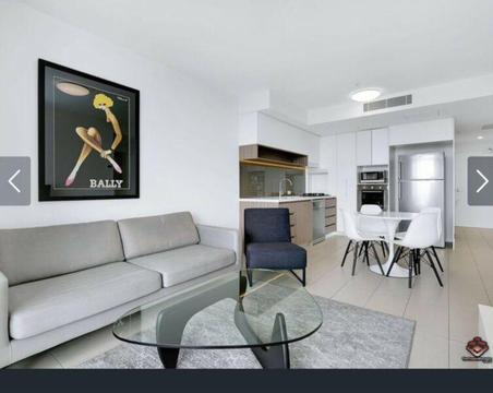 1 Bed furnished flat, break lease - centre Kelvin Grove