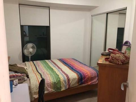 Room for Rent $240/wk in the heart of Brisbane CBD