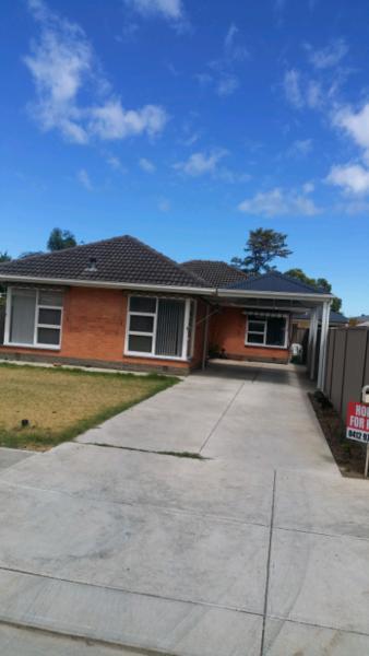 Edwardstown 3 bedroom home for rent 28 Carramar Avenue Edwardstow