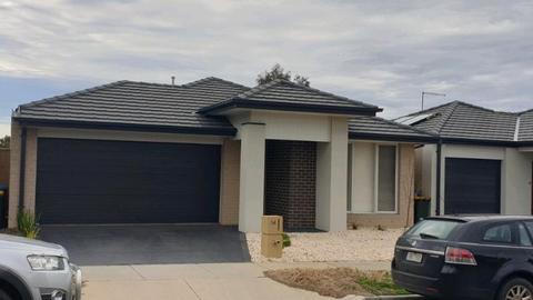 House for rent in tarneit