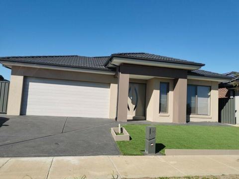 Brand New House For Rent In Tarneit