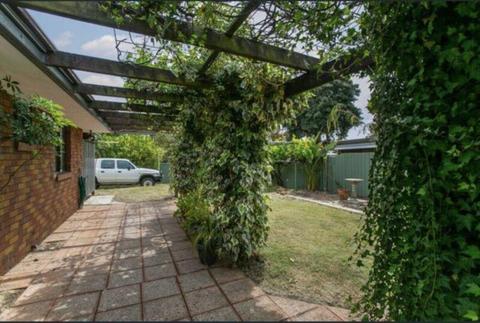 3x1 house for rent Beechboro