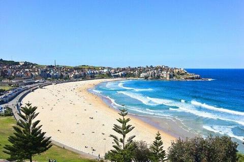 Bondi Beach. 1 person wanted for share room in furnished 2 bedroom apt