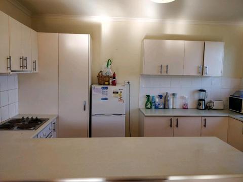 Roomshare accommodation available for male in 2BHK in Templestowe