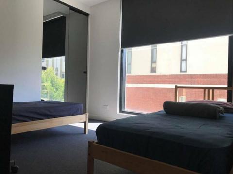 CBD Sharing room for renting on Bourke street next to Chinatown