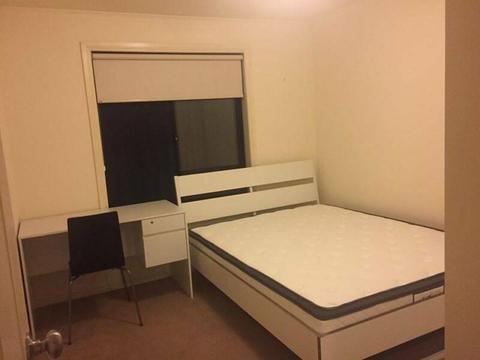Room for Rent - $175/Month