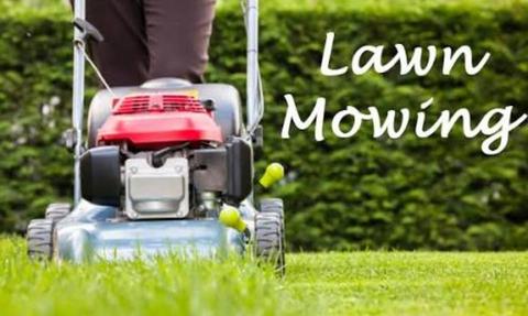 Lawn Mowing Business for sale