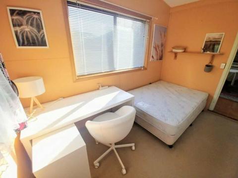 Cozy room for rent in Dee Why