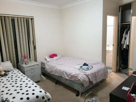 Looking for 1 girl for a Double Room Share in Chippendale $200p/w