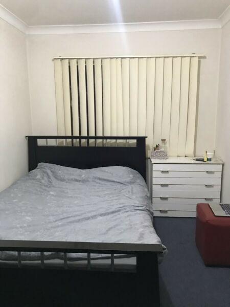Spacious Room For Rent in Bankstown *FEMALES ONLY*