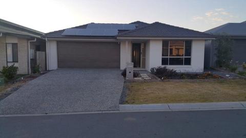 Beautiful family home available for rent by room in Yarrabilba