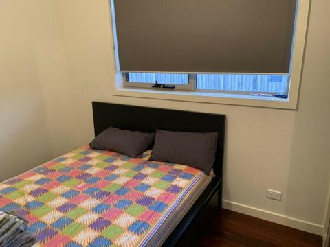 Looking for housemate long term or short term