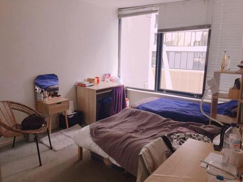 Southbank) looking for a clean female roommate! Available now!