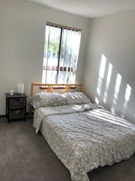 Room for rent in Maylands $130 including all bills