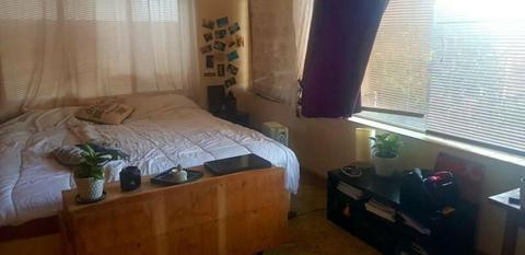 Room for rent/ Coolbinia