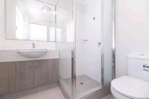 Room for rent nollamara own bathroom 150