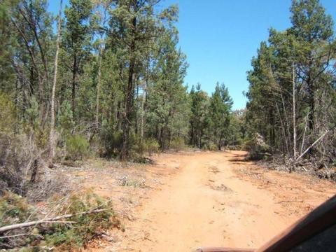 Rural Lifestyle land for Urgent Sale 342 acres, 136.8 hectares