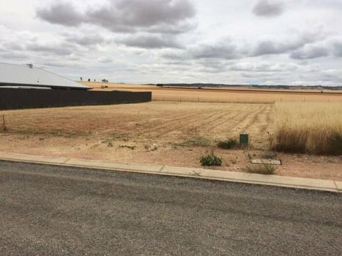 Affordable block of land in the beautiful Clare Valley