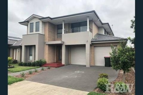 Fantastic Fully renovated 6 bedroom house to rent in Blacktown