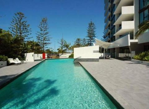 Gold Coast - Main bed and ensuite available for rent