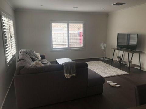 Room for rent in upper point cook