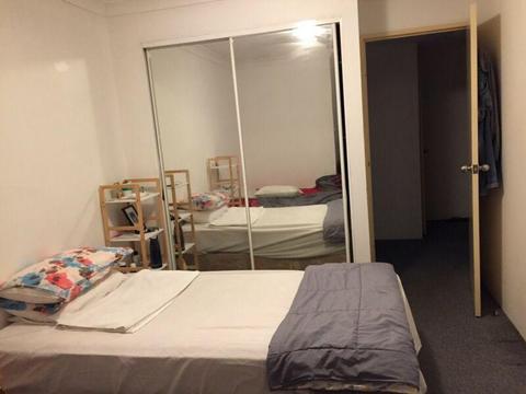 One Bed available with own separate bathroom in Harris st. Pyrmont