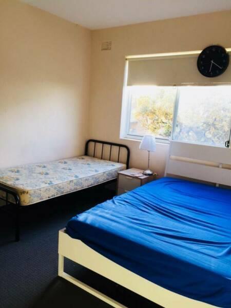 Room Share Kingsford 2032 near UNSW for Muslims