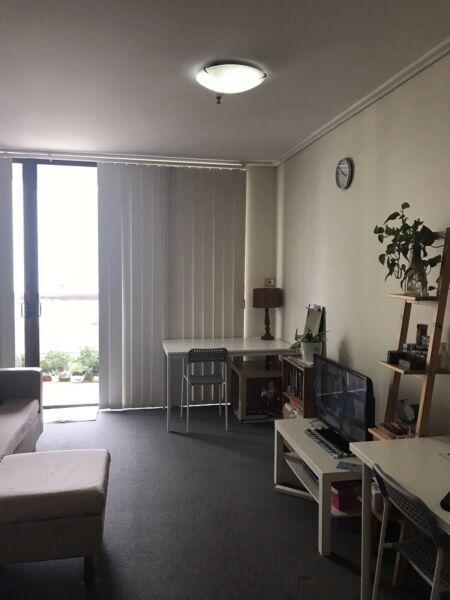Room share for lease in Sydney CBD