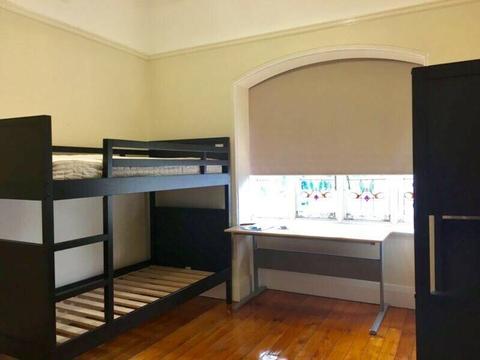 4 mins walk to UNSW- spacious shared room for rent