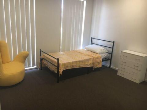 Room for rent in Coomera