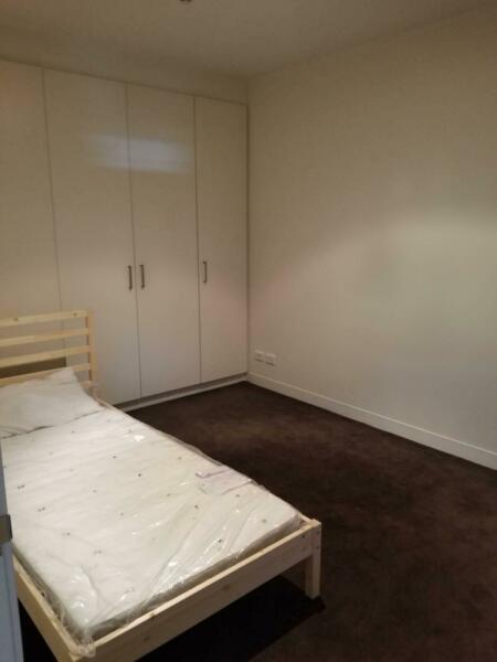 room share in CBD(female)