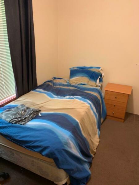 Room for rent - SUIT STUDENT