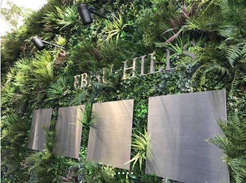 NSW Distributor Required - Green Walls & Home Items