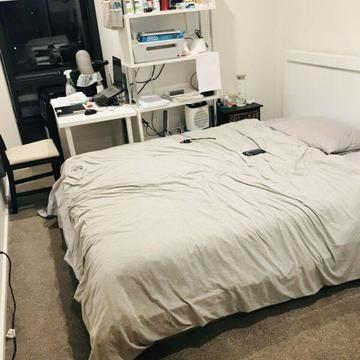 shared room for 3 month,Dickson ACT
