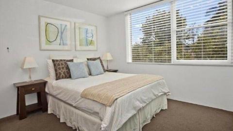 Large room for rent in Mosman