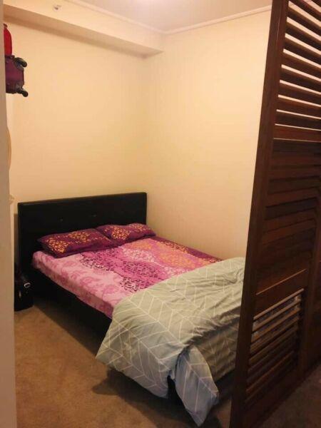Long term accomodation for Indian Male - North Sydney